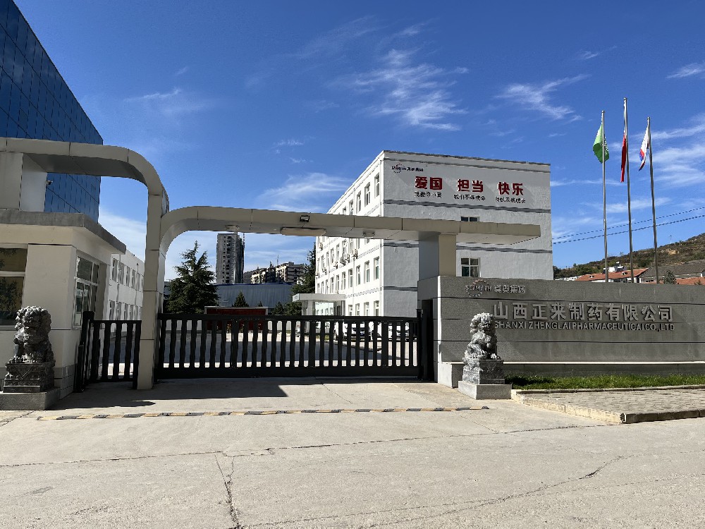 公司簡介